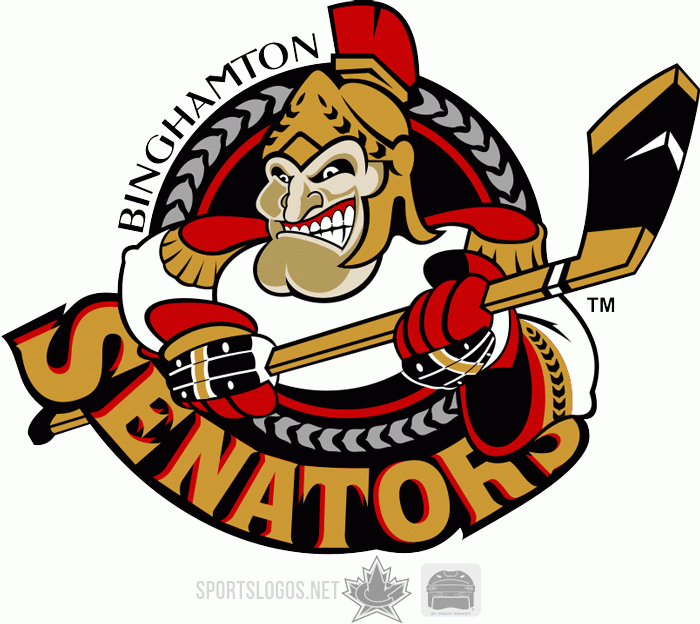 Binghamton Senators 2002 03-Pres Primary Logo iron on heat transfer